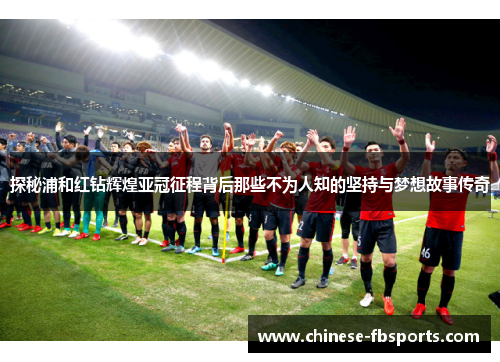 探秘浦和红钻辉煌亚冠征程背后那些不为人知的坚持与梦想故事传奇