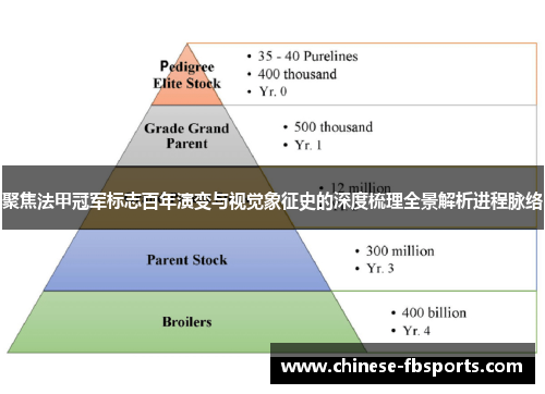 聚焦法甲冠军标志百年演变与视觉象征史的深度梳理全景解析进程脉络