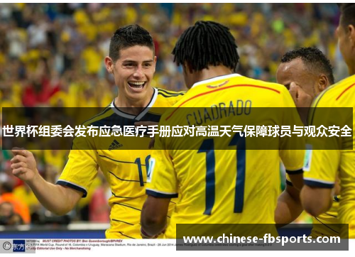 世界杯组委会发布应急医疗手册应对高温天气保障球员与观众安全